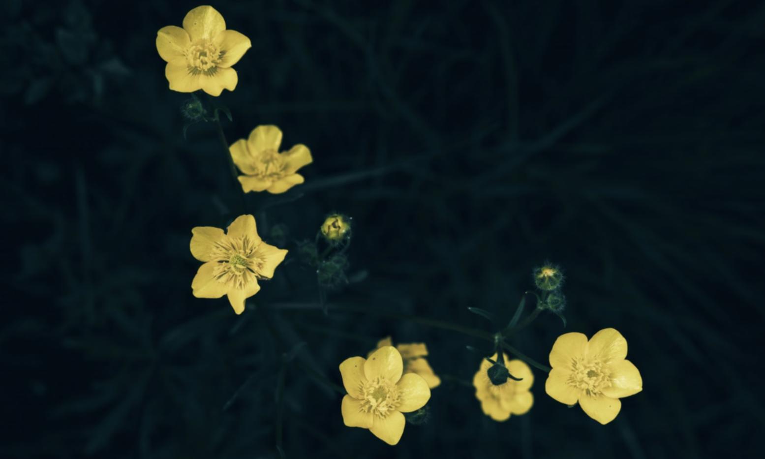 Custom seasonal floral design for special occasions